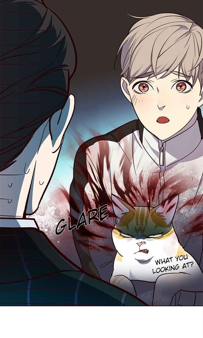 Page 82 of Chapter 23