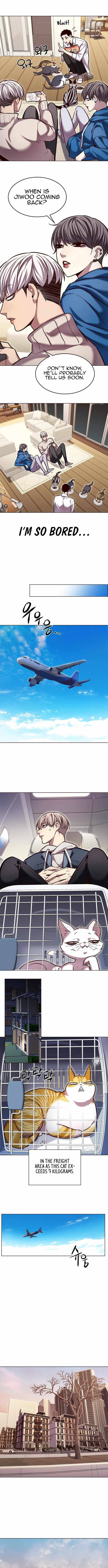 Page 6 of Chapter 231