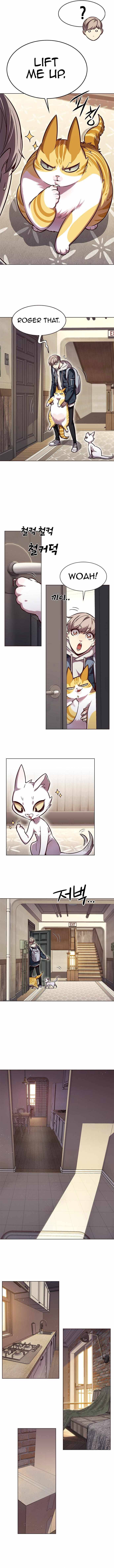 Page 8 of Chapter 231