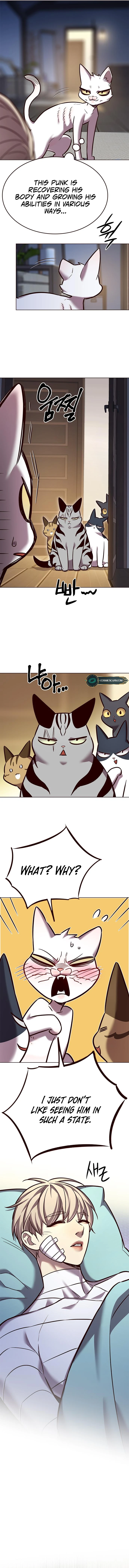 Page 13 of Chapter 262