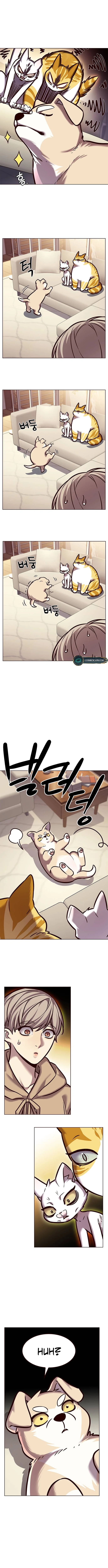 Page 15 of Chapter 279