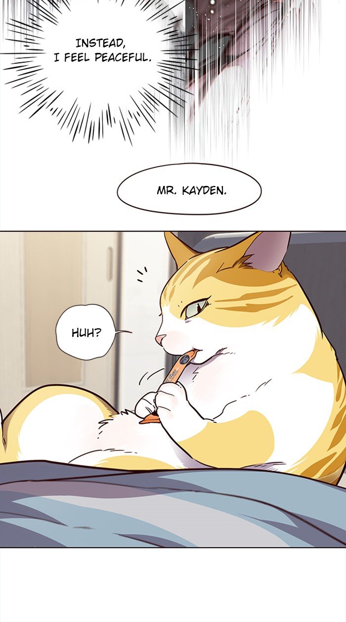 Page 13 of Chapter 28