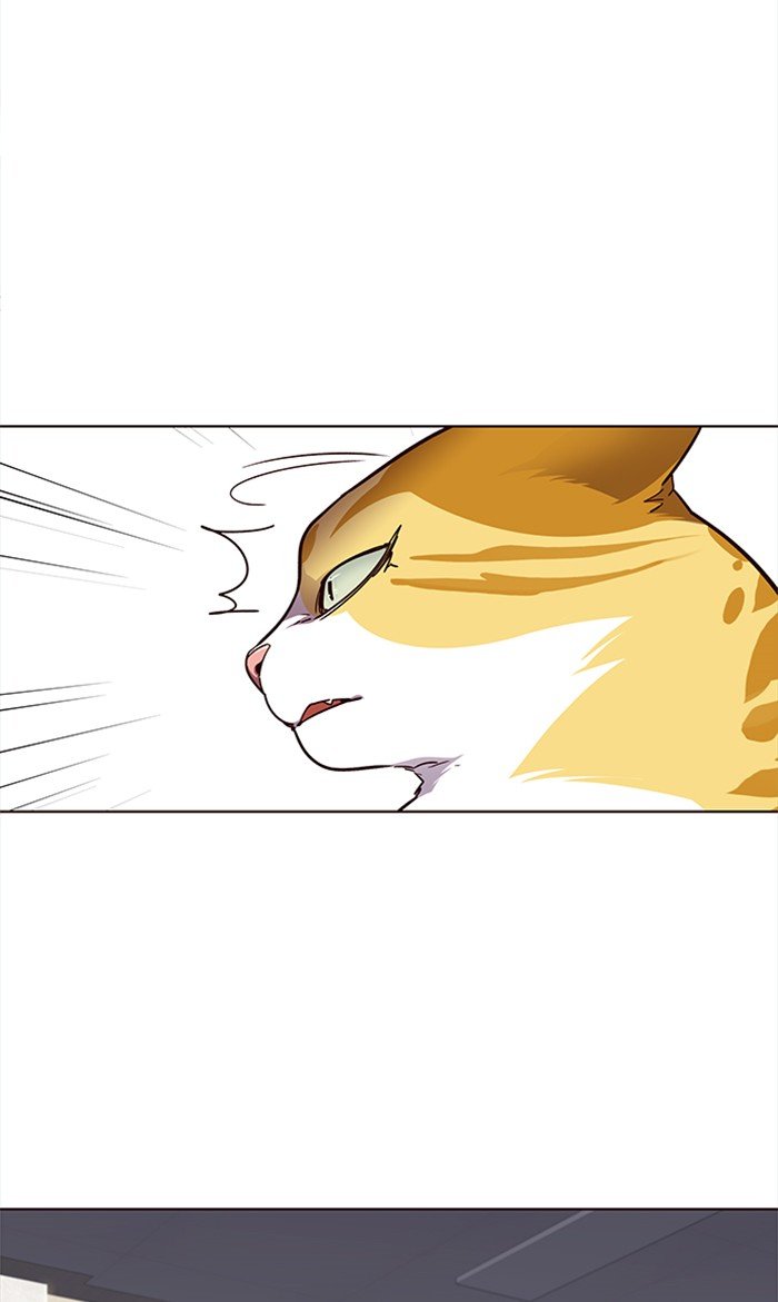 Page 20 of Chapter 28