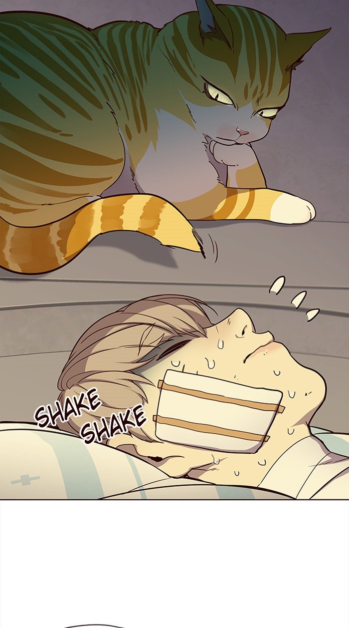 Page 13 of Chapter 29