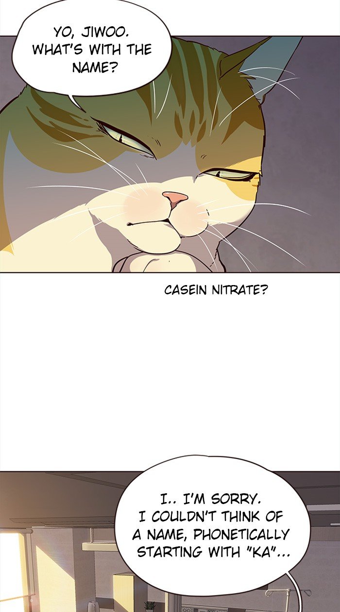 Page 14 of Chapter 29