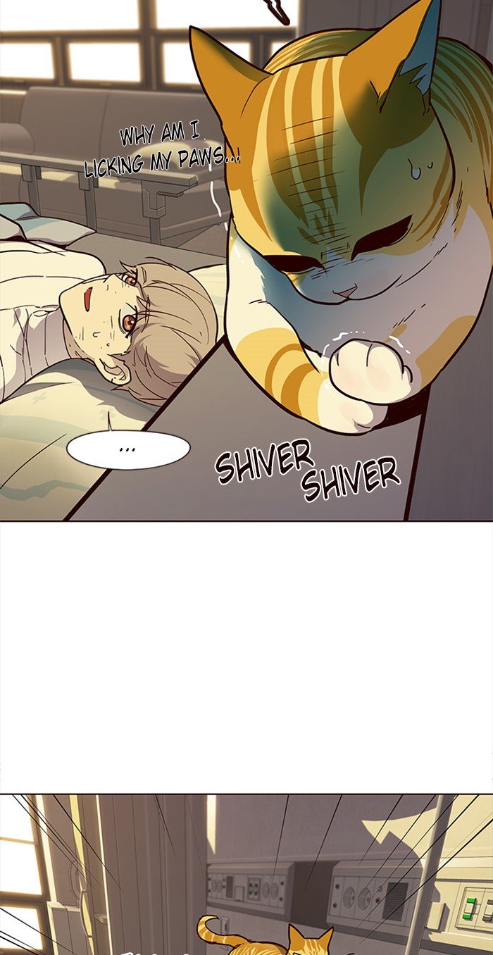 Page 22 of Chapter 29