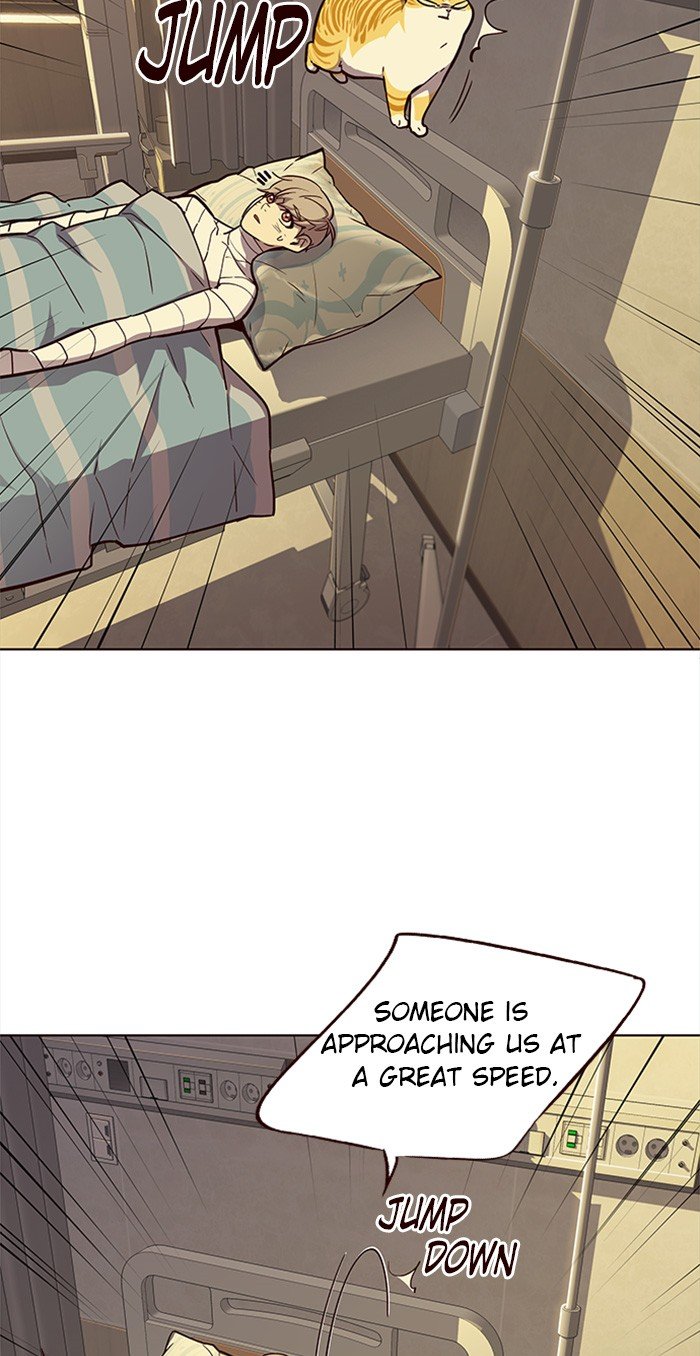 Page 23 of Chapter 29