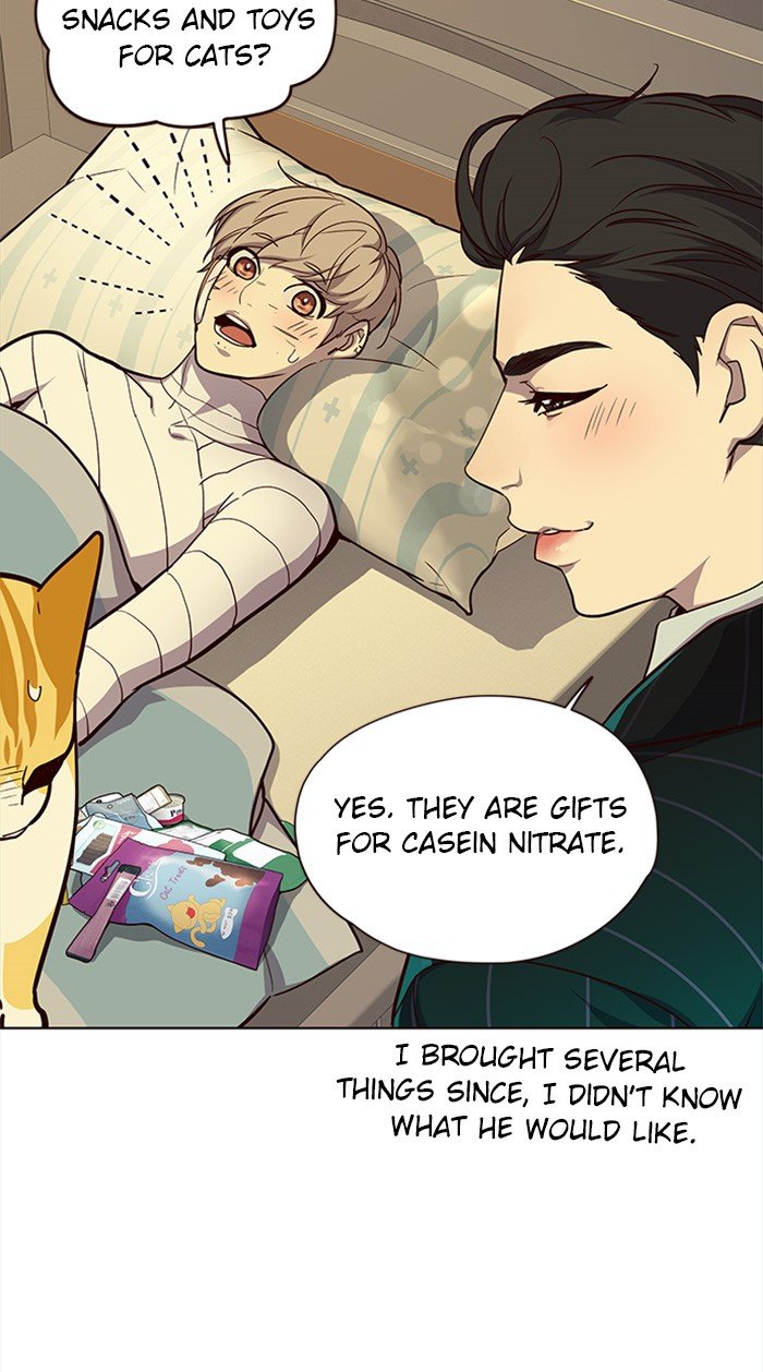 Page 33 of Chapter 29
