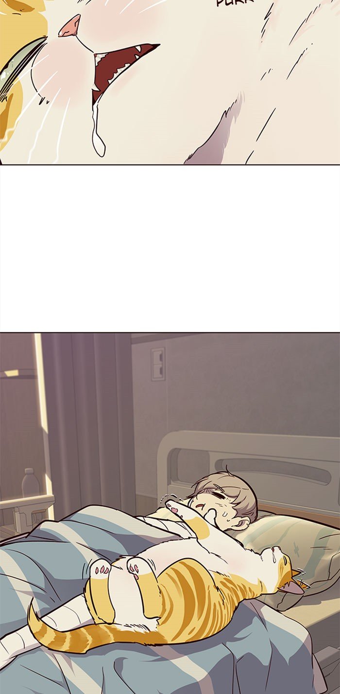 Page 80 of Chapter 30