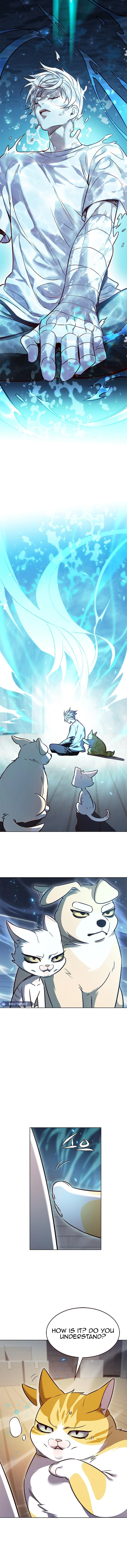 Page 5 of Chapter 330