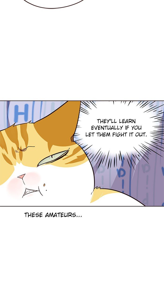 Page 38 of Chapter 34