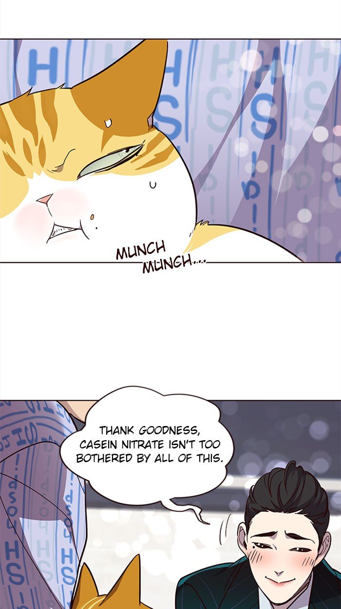 Page 39 of Chapter 34