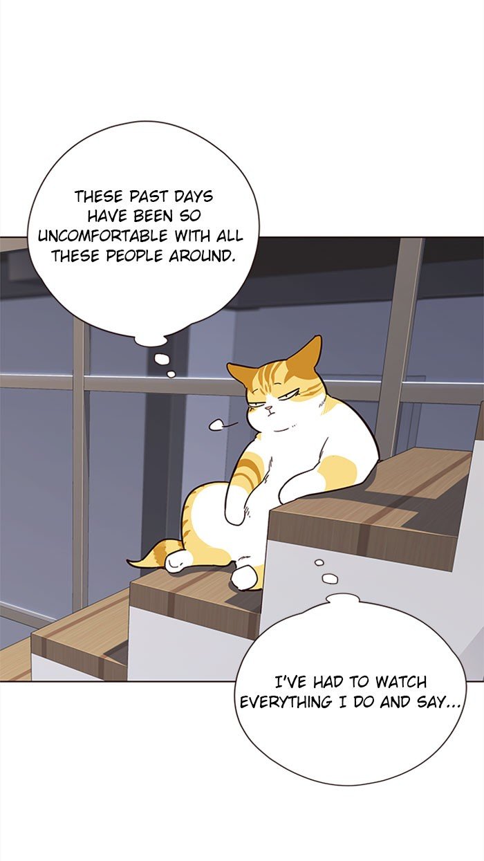 Page 42 of Chapter 35