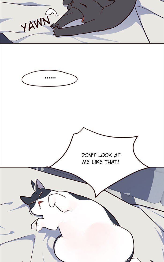 Page 78 of Chapter 35