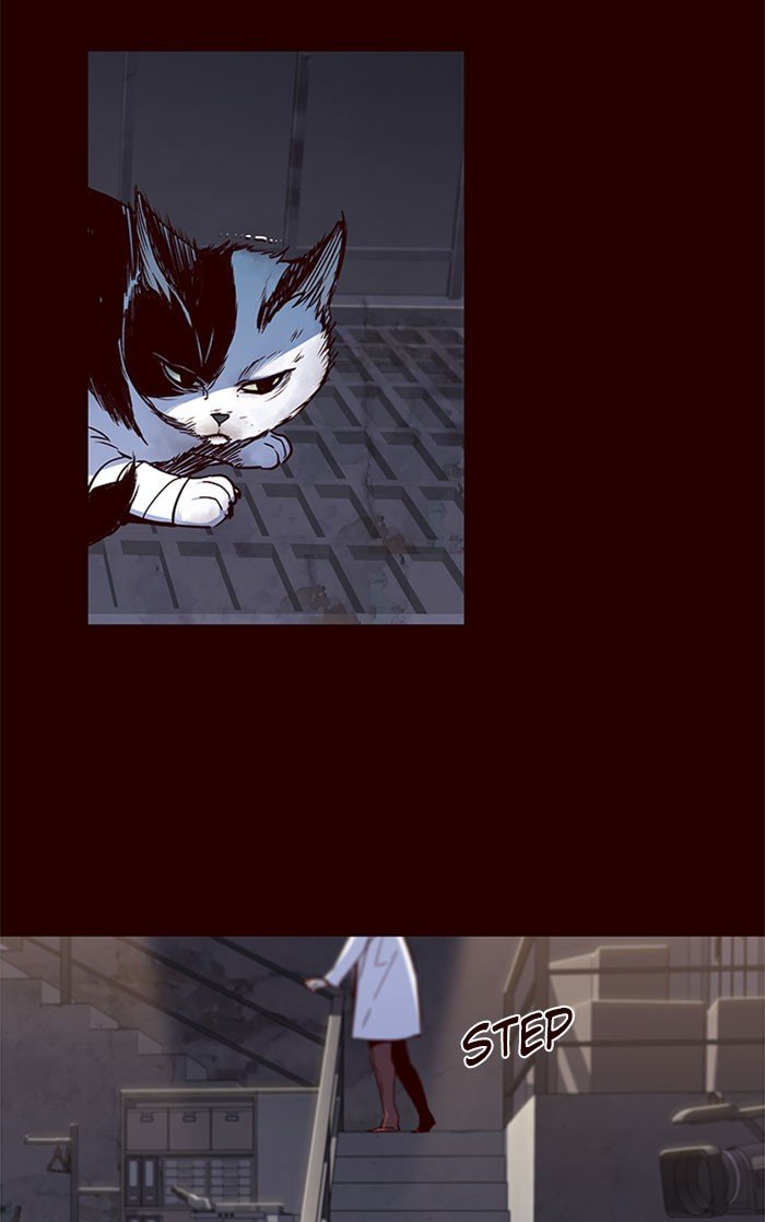 Page 15 of Chapter 36