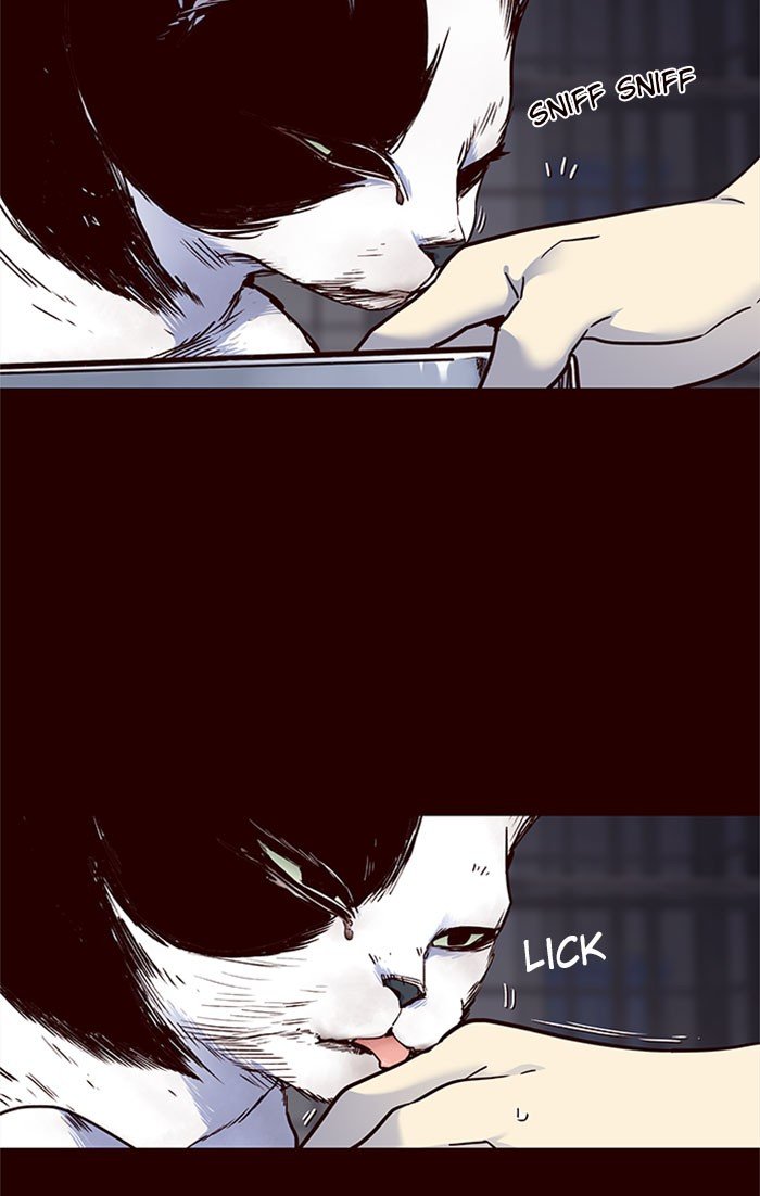 Page 20 of Chapter 36