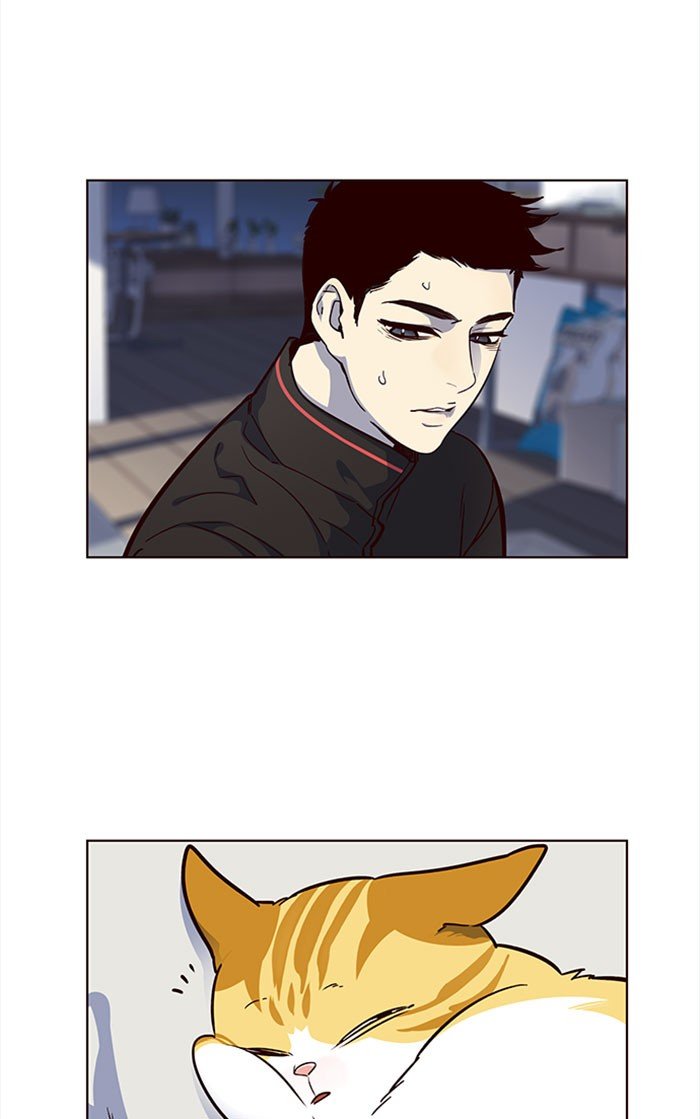 Page 41 of Chapter 36