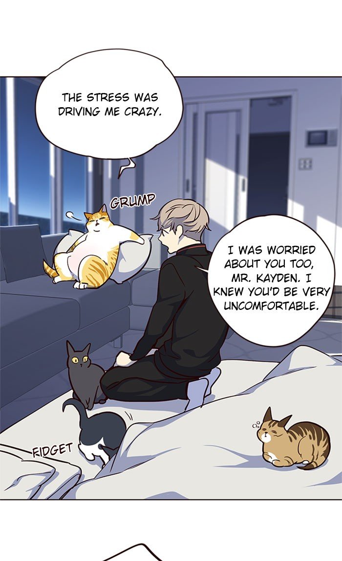 Page 56 of Chapter 36