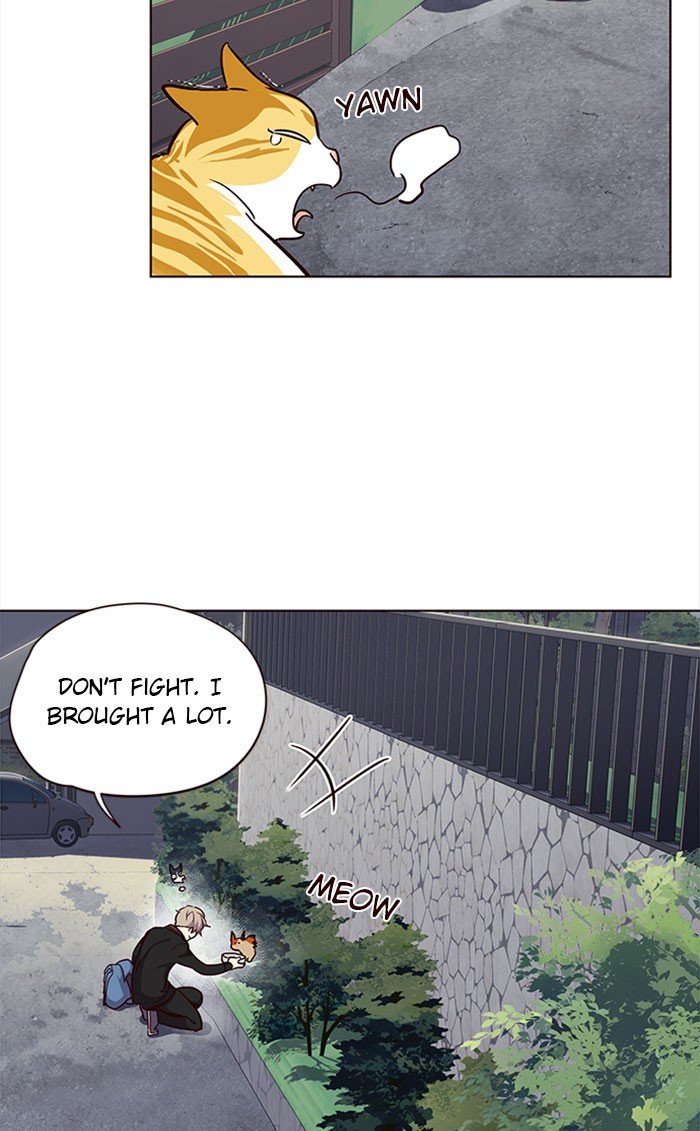 Page 71 of Chapter 36