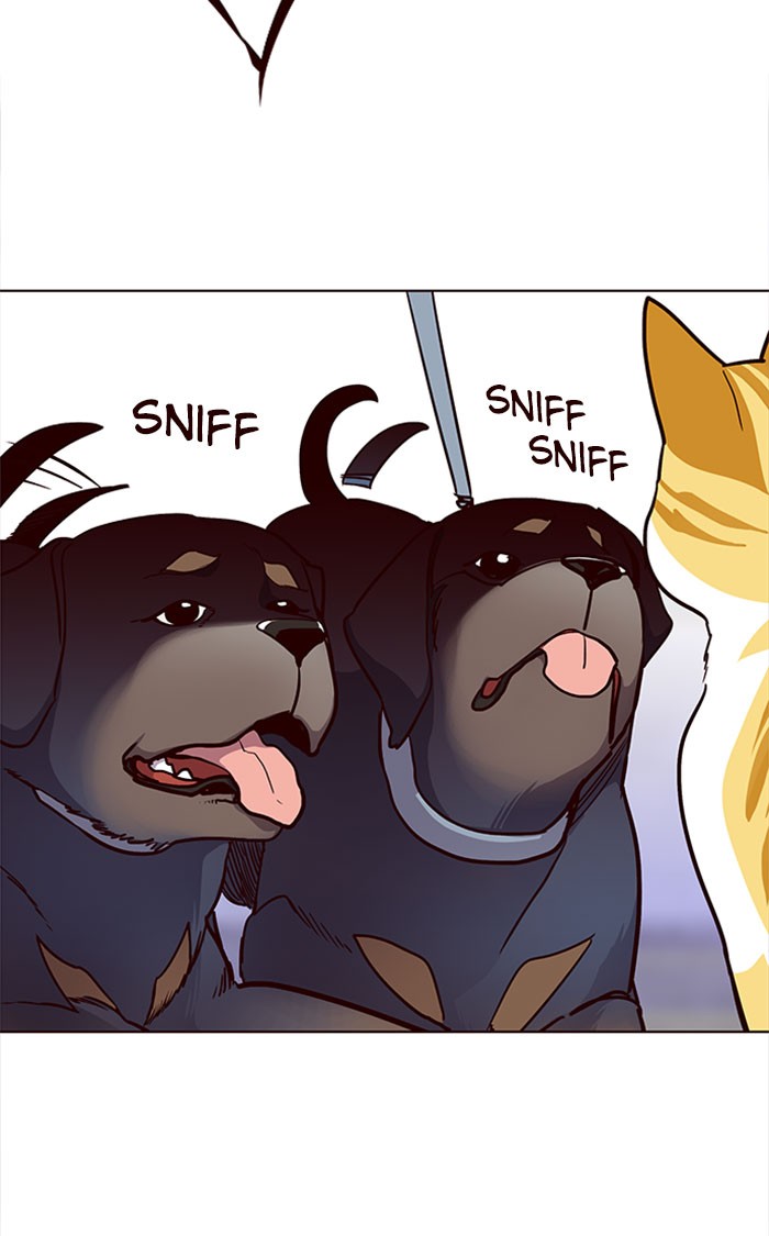 Page 96 of Chapter 36