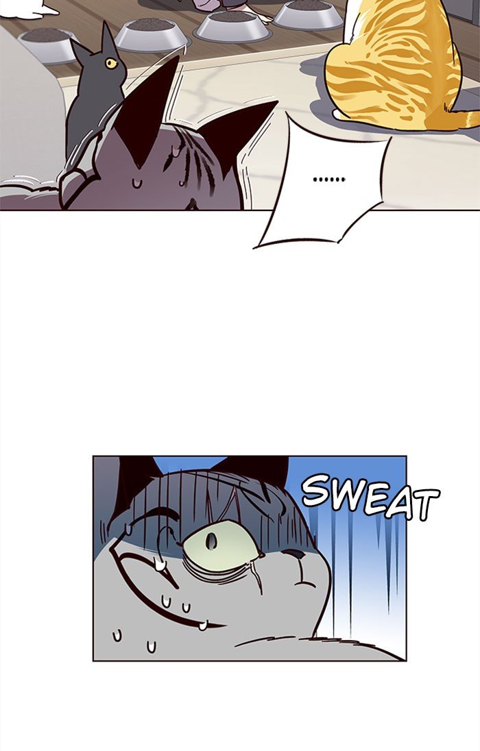 Page 33 of Chapter 37