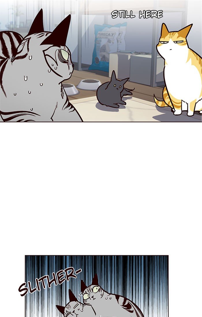 Page 40 of Chapter 37