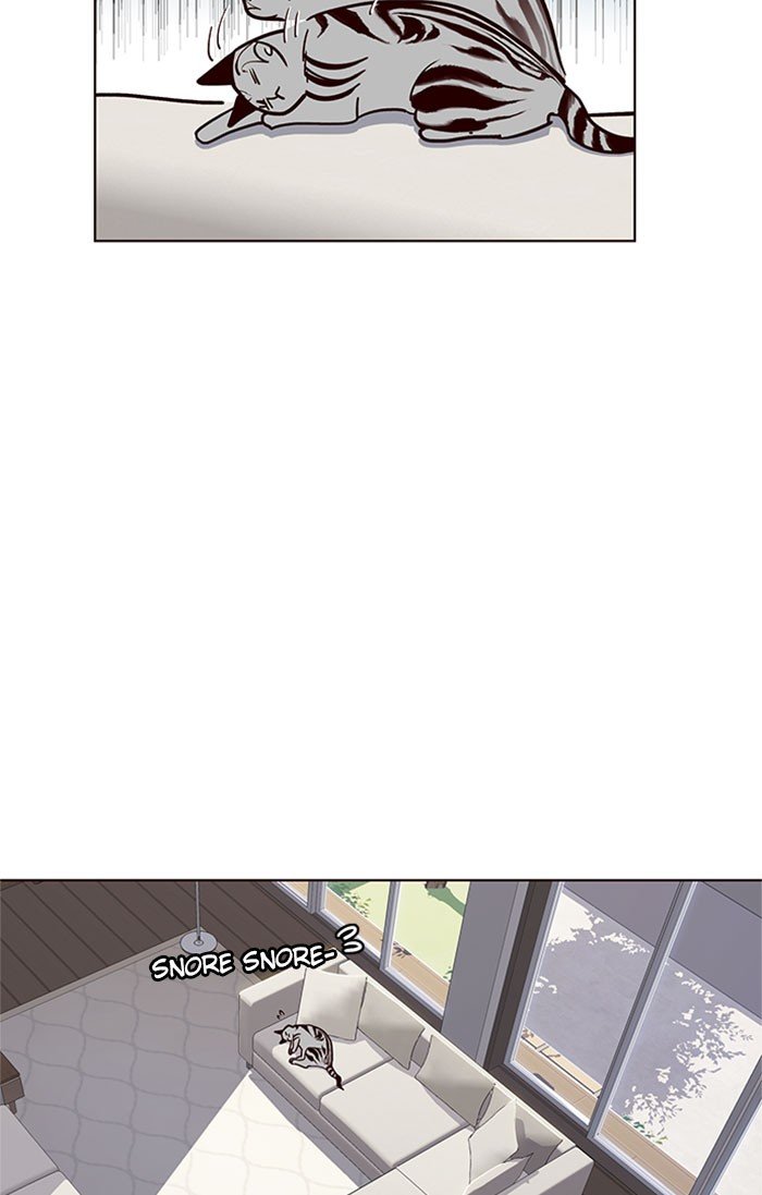 Page 41 of Chapter 37