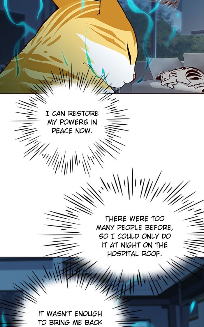 Page 44 of Chapter 37