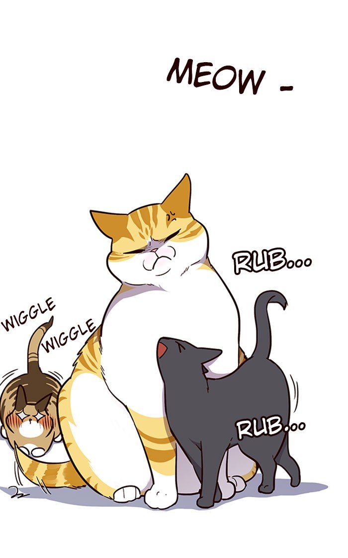 Page 47 of Chapter 37