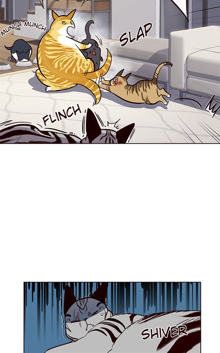 Page 49 of Chapter 37
