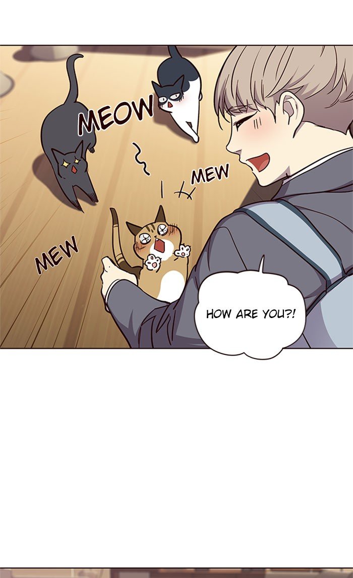 Page 20 of Chapter 38
