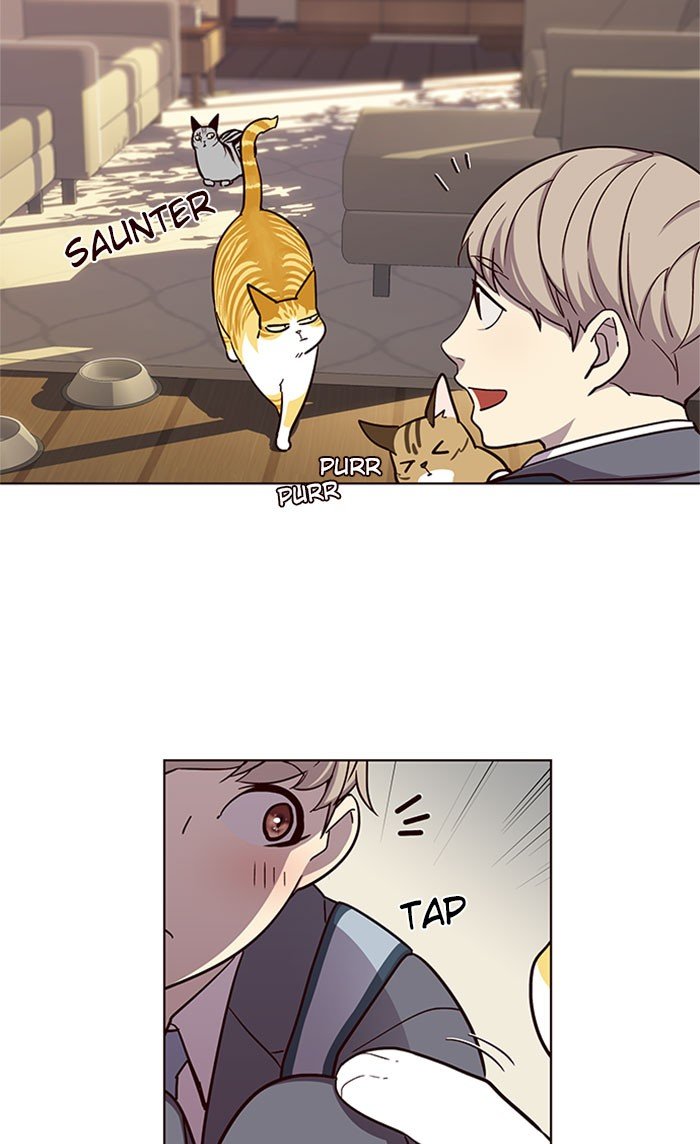Page 21 of Chapter 38