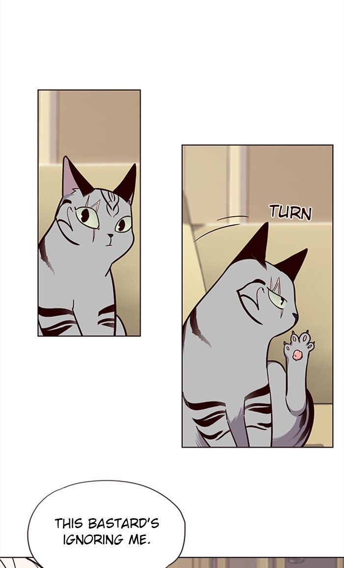 Page 52 of Chapter 38