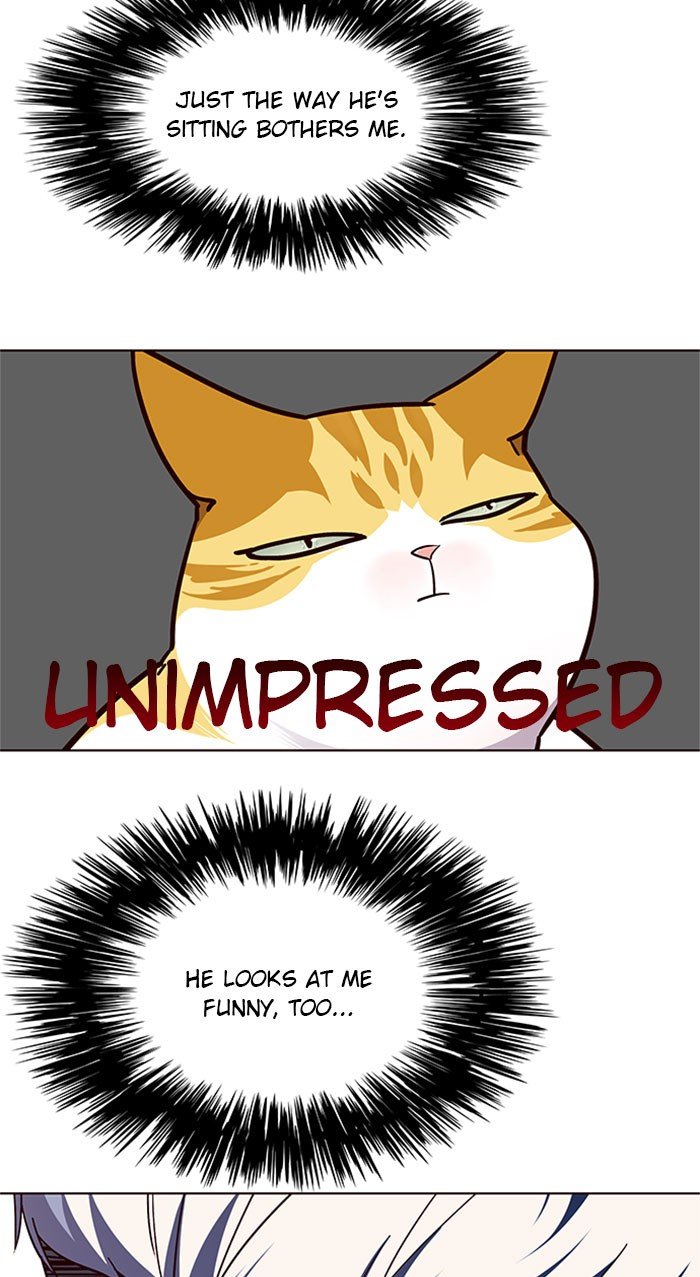 Page 13 of Chapter 39
