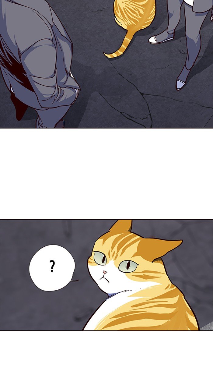 Page 47 of Chapter 41