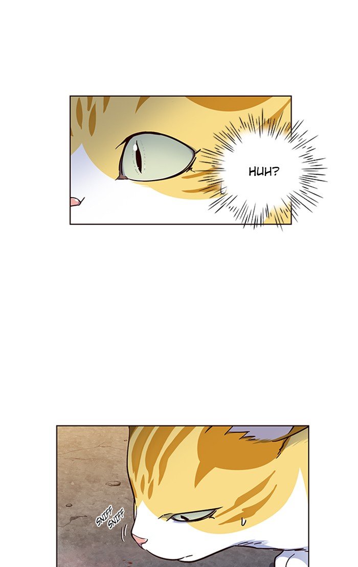 Page 50 of Chapter 41