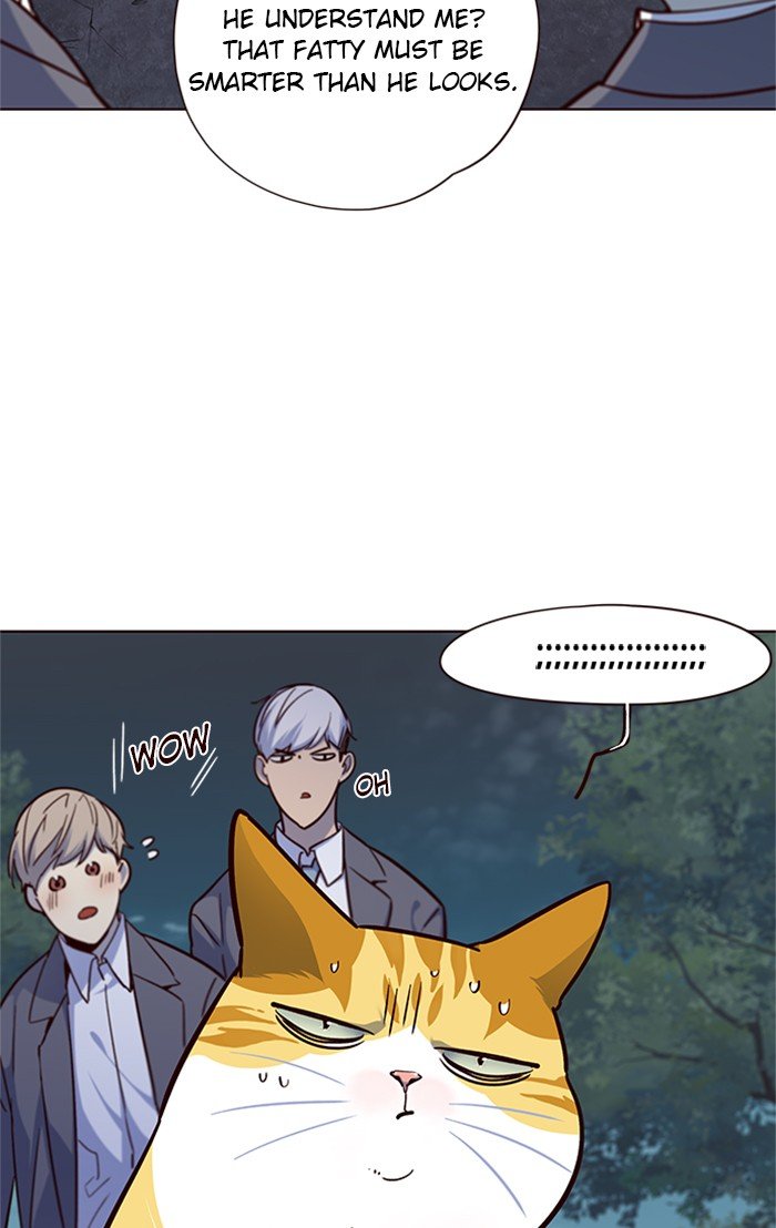 Page 53 of Chapter 41