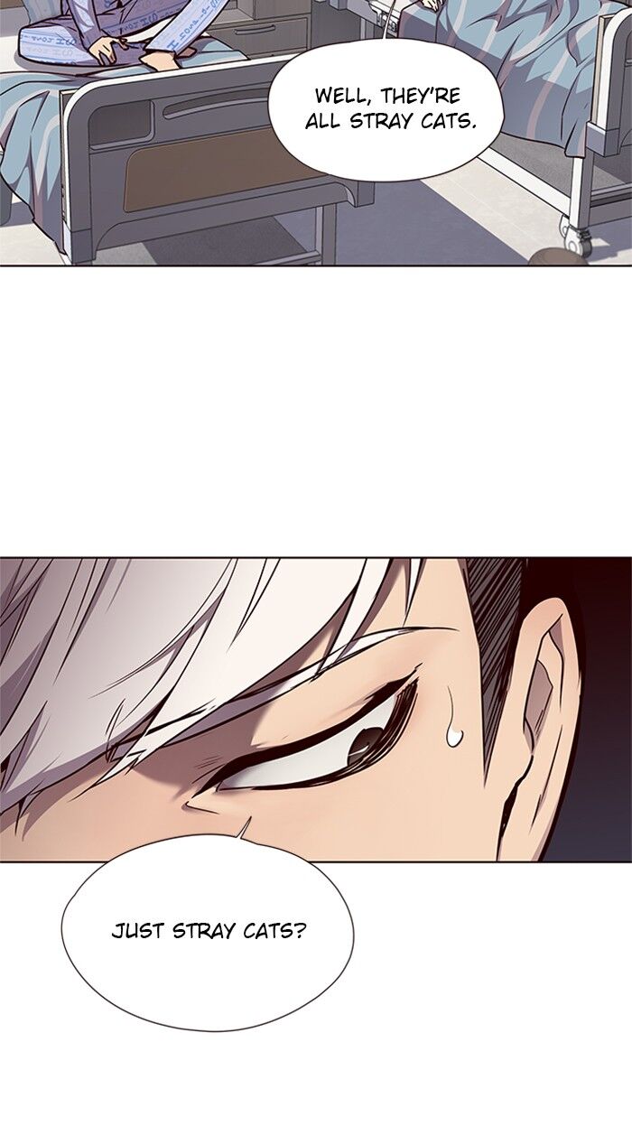Page 37 of Chapter 46