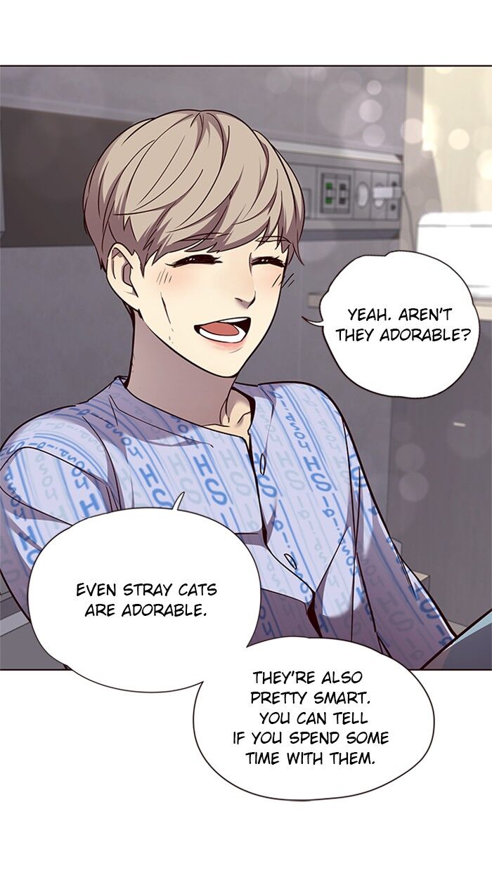 Page 38 of Chapter 46