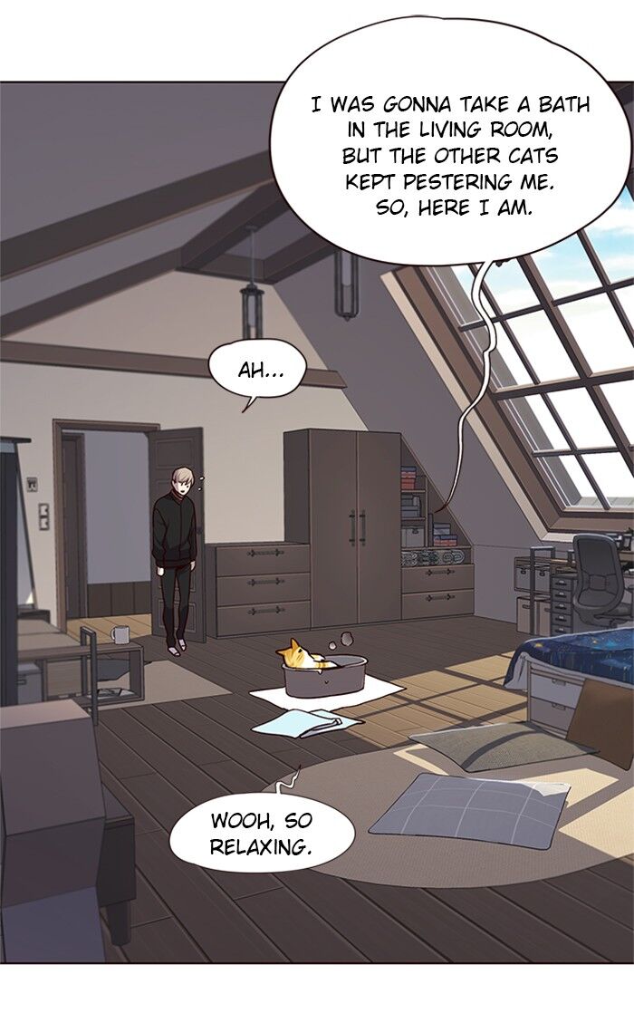Page 36 of Chapter 47