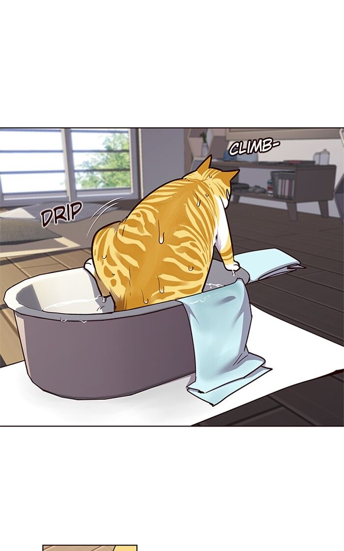 Page 37 of Chapter 47