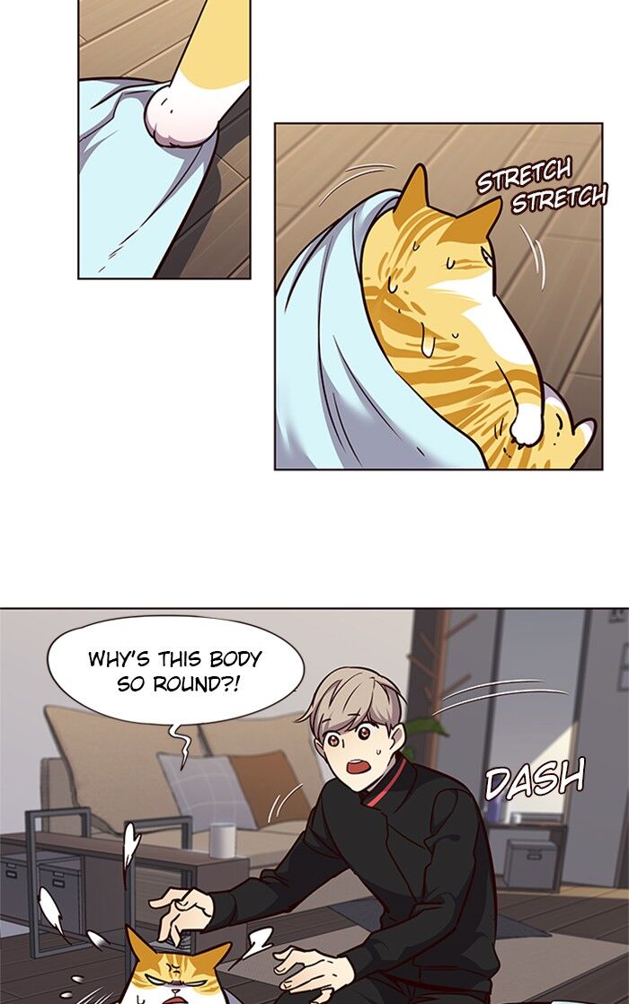 Page 38 of Chapter 47