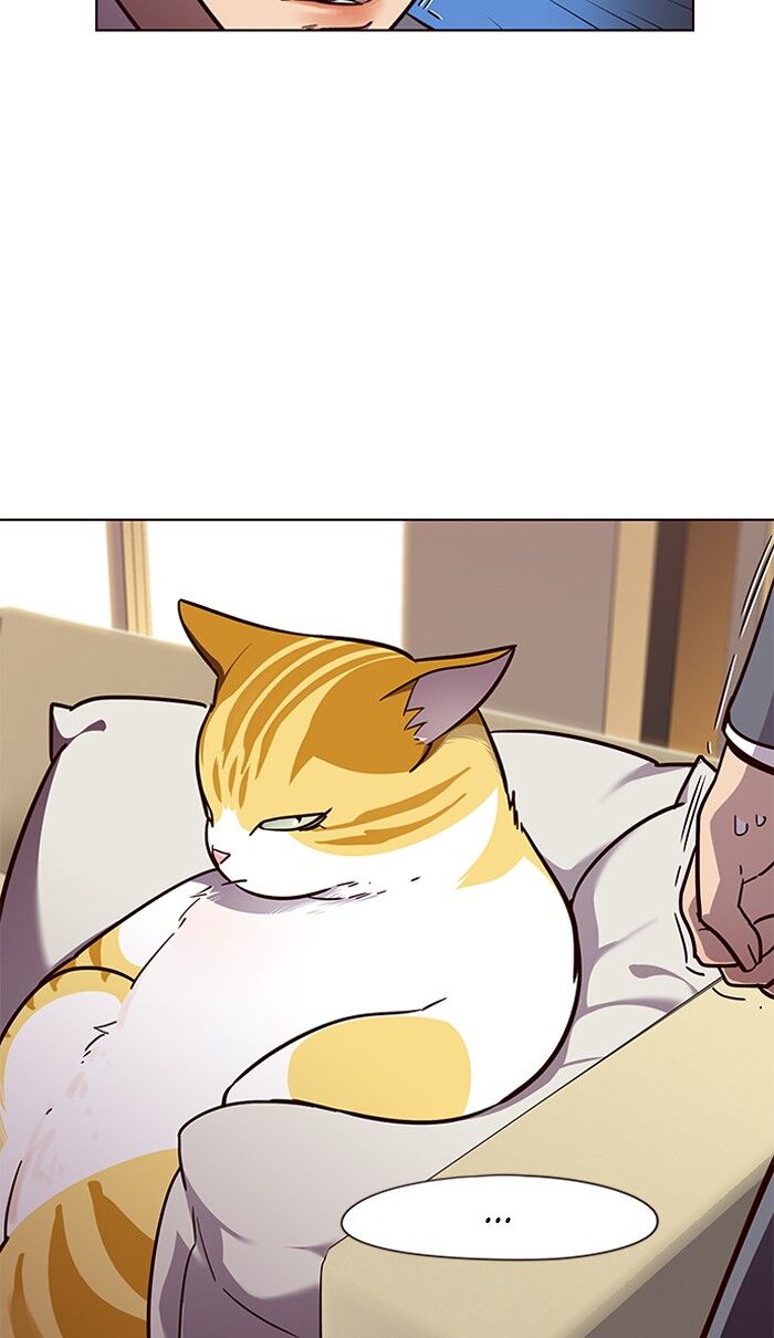 Page 55 of Chapter 49