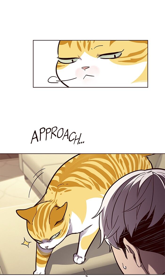 Page 14 of Chapter 50
