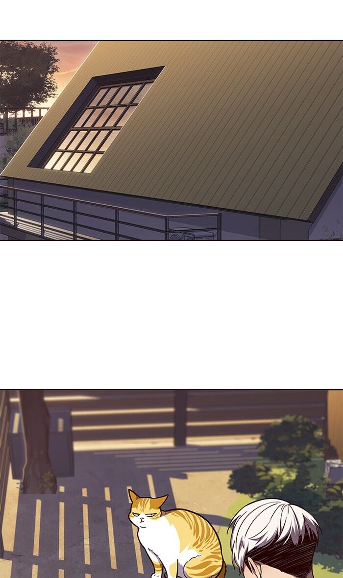 Page 20 of Chapter 50