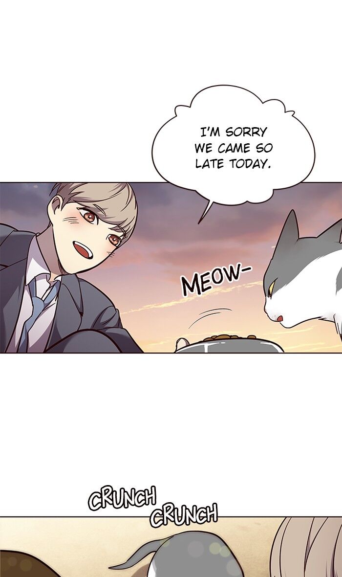 Page 41 of Chapter 50