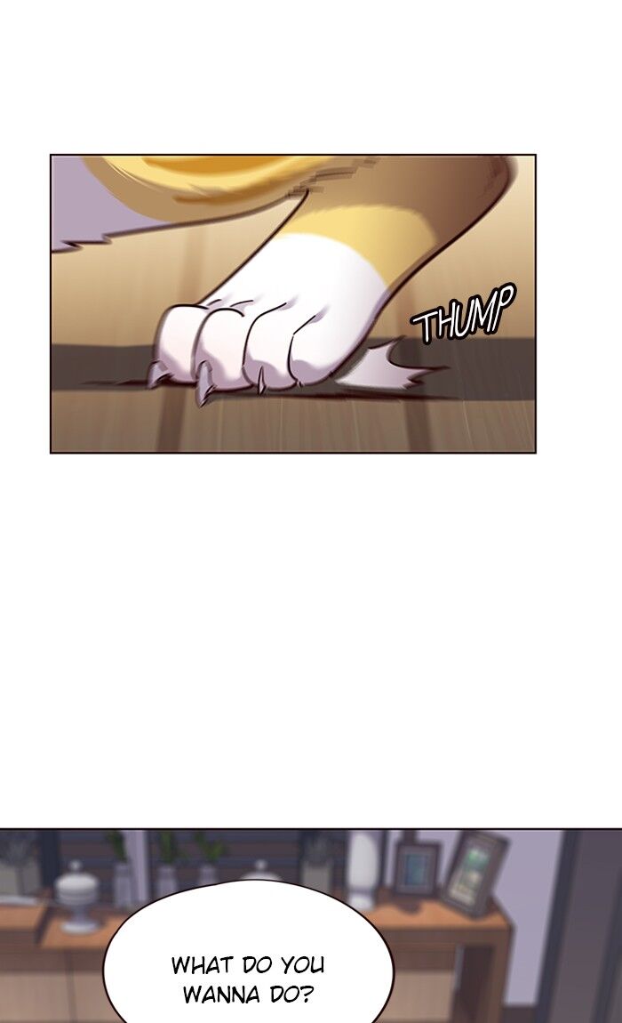 Page 17 of Chapter 51