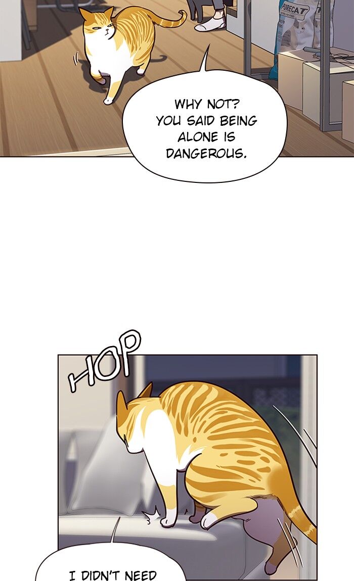 Page 24 of Chapter 51