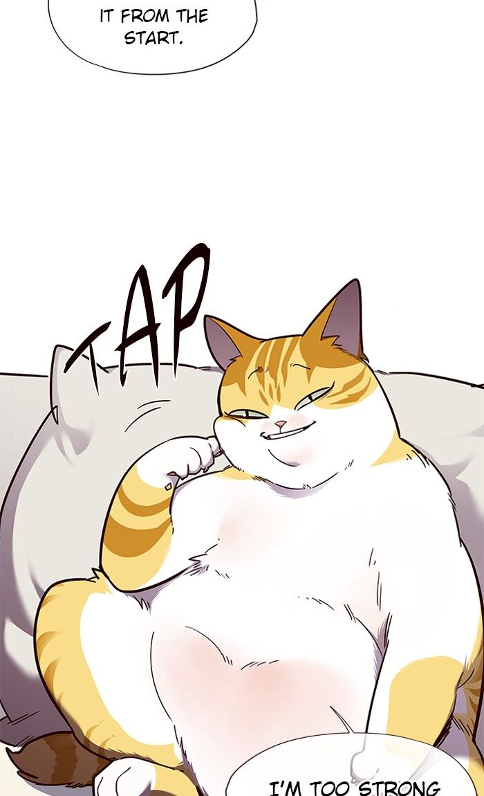Page 25 of Chapter 51