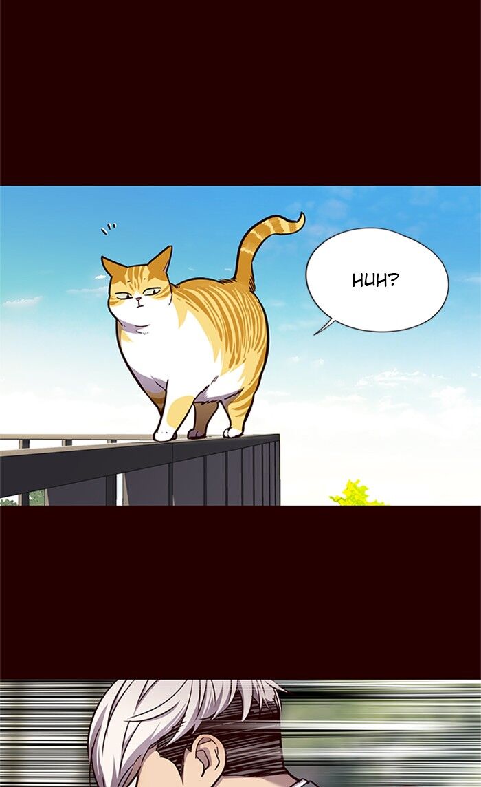 Page 38 of Chapter 52